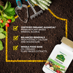NaturesPlus, Source of Life®, Garden®, кальций, 120 веганских капсул