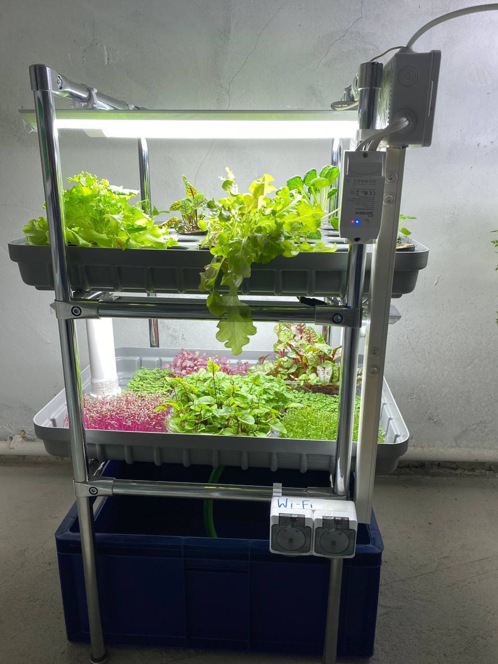 Домашняя гидропонная установка HydroBoss5.0 Mini