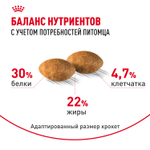 Royal Canin Persian Adult Персиан Эдалт Корм сухой для взрослых кошек породы персидская от 12 месяцев 4кг