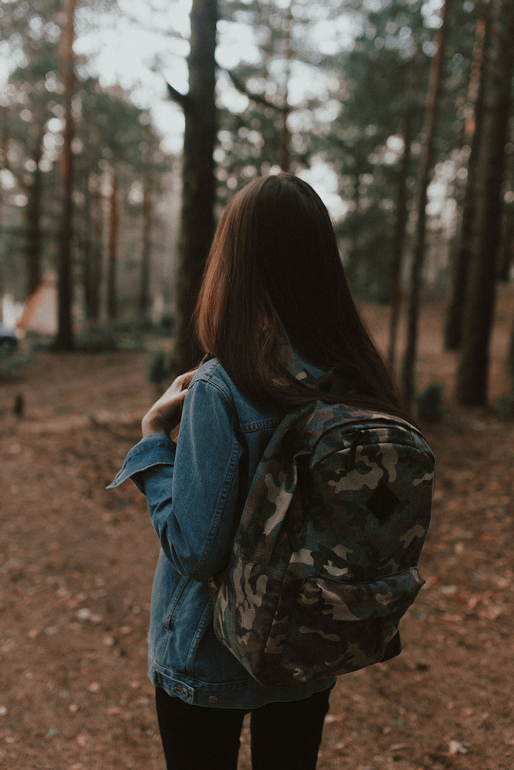 Рюкзак Woodsurf United Academy - Camp Fires 15", камуфляж, 40х30х13 см, 15 л