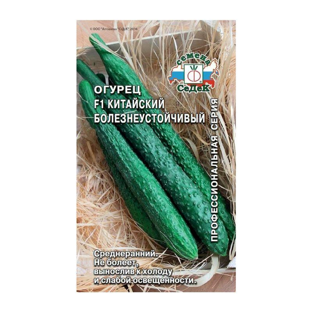 Огурец Китайский Болезнеустойчивый