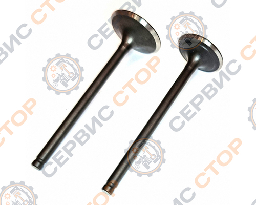 Клапаны ГРМ 2шт 172FMM-3A ZS250 (CB250-F) X-TECH НФ-00005083