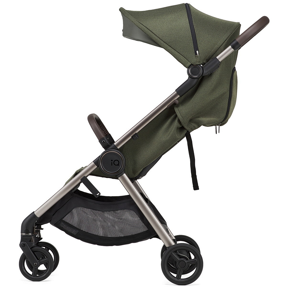 Детская коляска Anex IQ Premium 2 в 1 richi