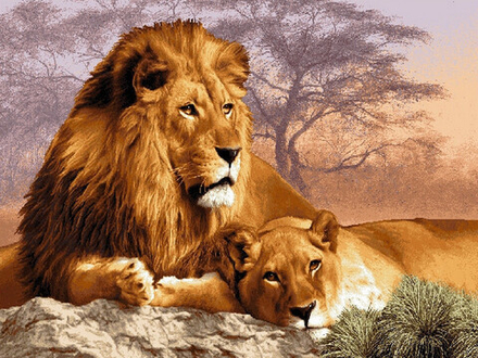 Гобеленовая картина "D. ХОЗЯИН САВАННЫ" в багетной раме, Россия.