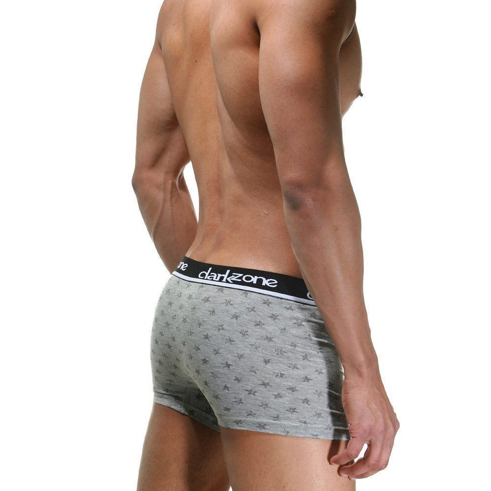 Трусы мужские боксеры серые DARKZONE DZN2309