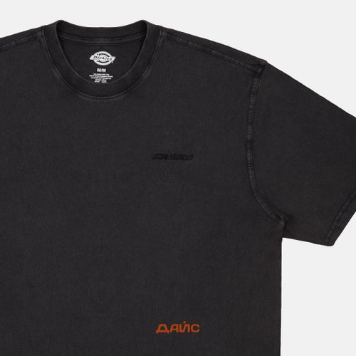 Футболка мужская Dickies Plentywood артикул:DK0A866BH861 - купить в магазине Дайс