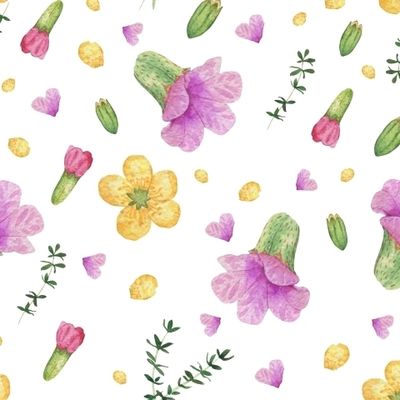 Медуница и лютики. Акварель