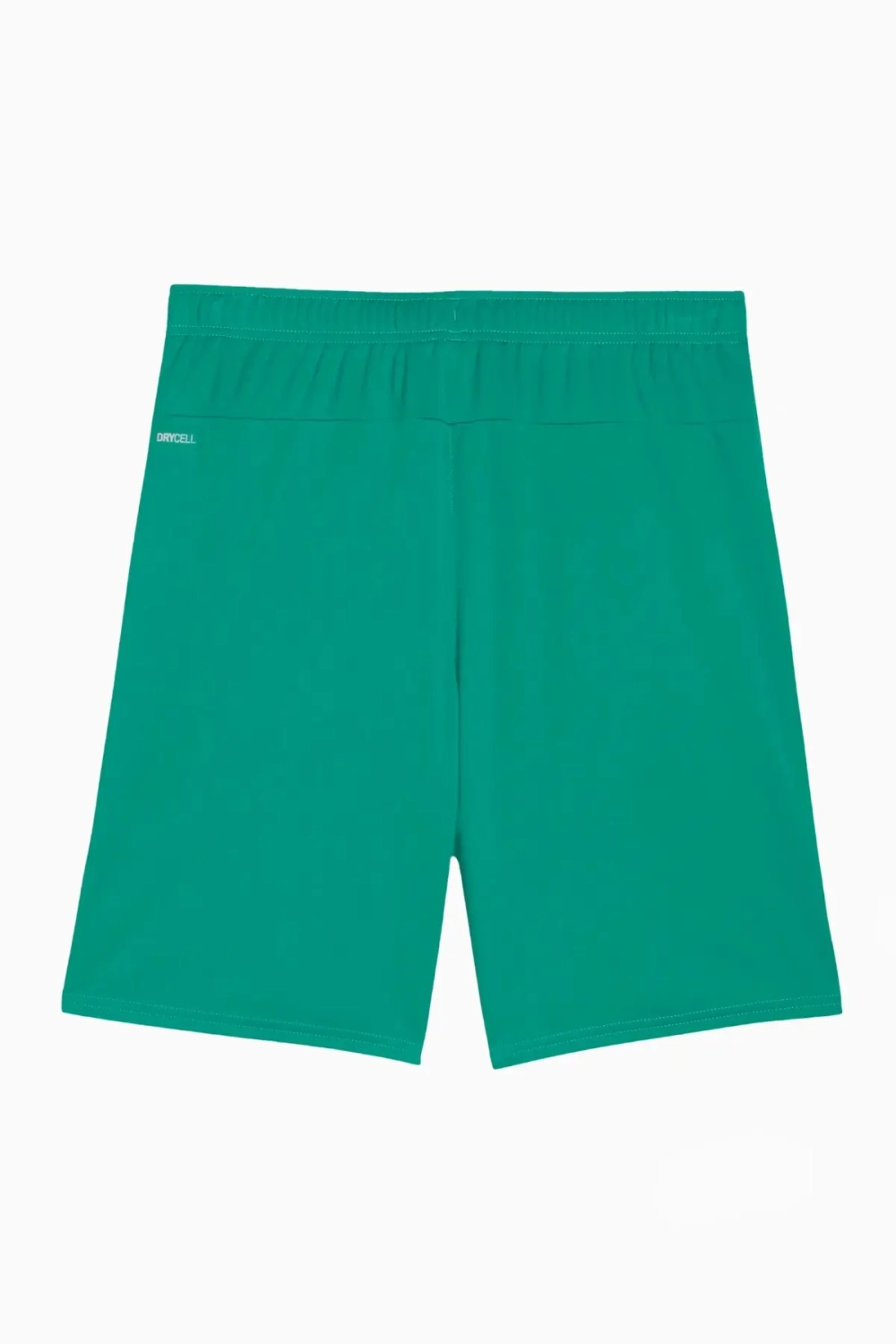 Шорты Puma teamGOAL - зеленый