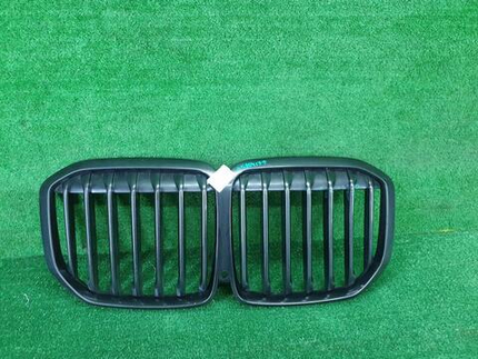 Решетка радиатора BMW X7 G07 (2019-2022)