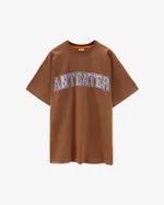 Футболка Anteater Big Textlogo 206 Коричневая