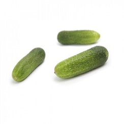 РЭППЕР F1 семена огурца (Rijk Zwaan | Alexagro)