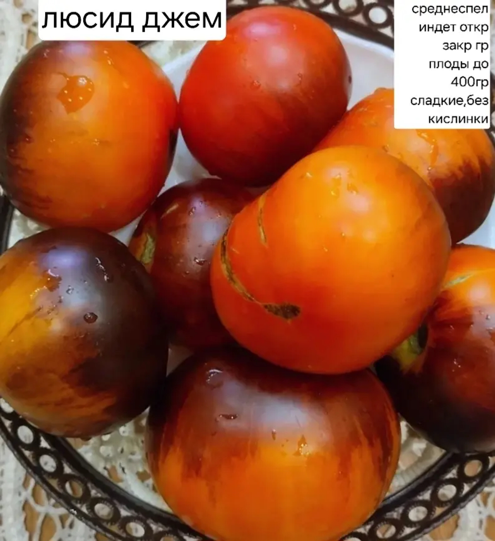 ЛЮСИД ДЖЕМ (ЯРКИЙ САМОЦВЕТ)