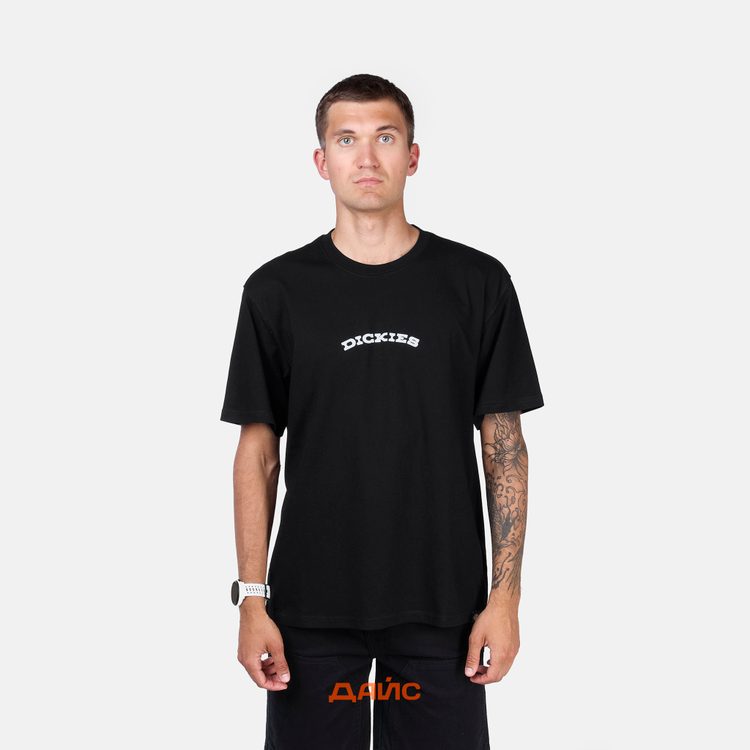 Футболка мужская Dickies Outdoor артикул:DK0A4Z8PBLK1 - купить в магазине Дайс