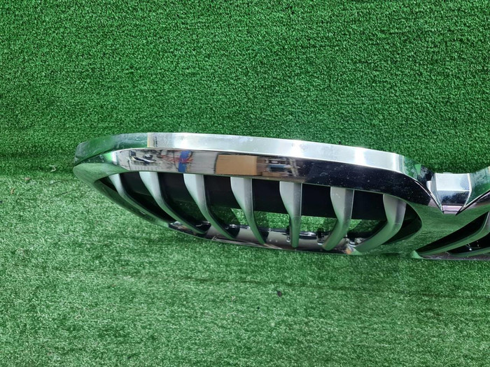 Решетка радиатора BMW X7 G07 (2019-2022)