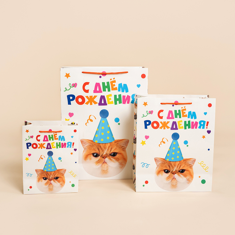 Подарочный пакет «Котик в колпачке», лаковый в трех размерах