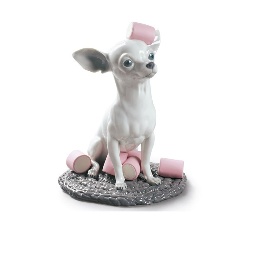 Чихуахуа с зефиром [цена в €]