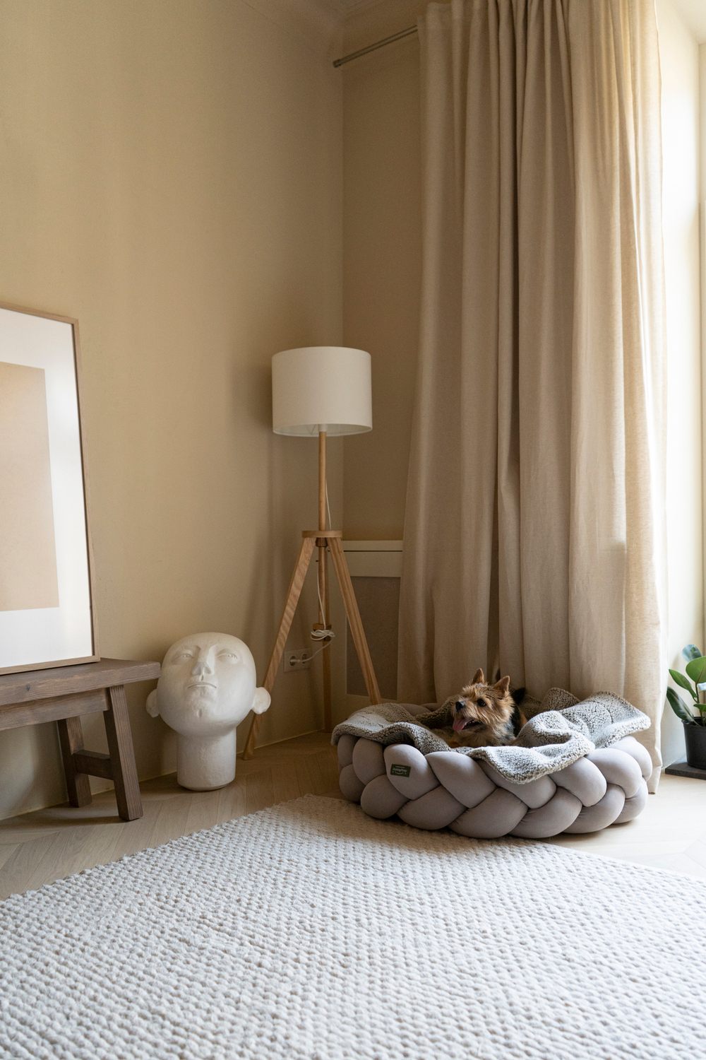 Лежанка "Пони-Колосони" Бежевая