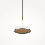 Подвесной светильник Maytoni MOD041PL-L15WG3K