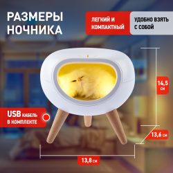 Ночник - светильник светодиодный ЭРА NLED-467-1W-W котик белый | Ночники