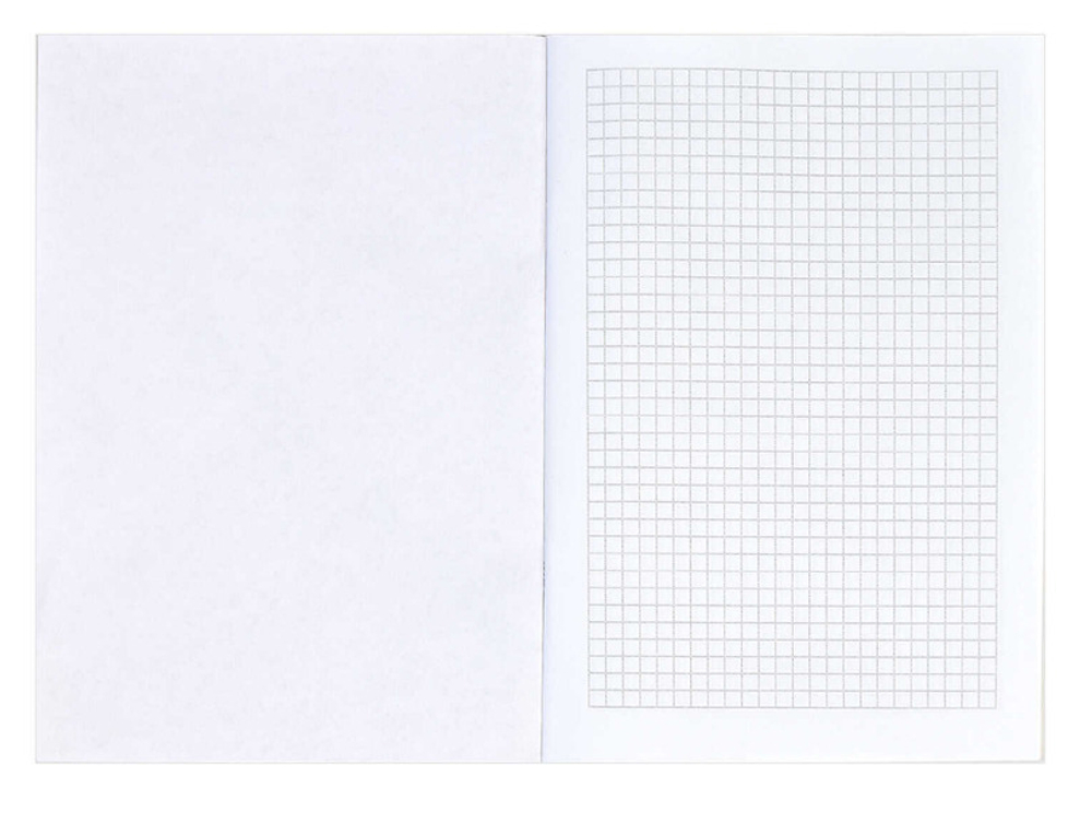 Тетрадь 32 л. евроклетка ФЕНИКС Путешествие (71695)