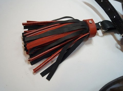 Узда выездная