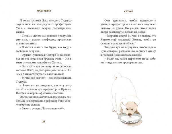 Хатико. Пёс, который ждал