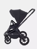 Коляска 2 в 1 Rant Flex 2025 RA076