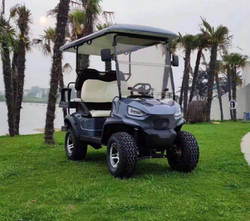 Гольфкар GreenCamel Linhai YK50EG (48V 3950W 25км/ч)