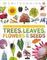Trees, Leaves, Flowers &amp; Seeds