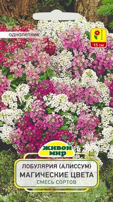 Лобулярия "ЖМ. Maгичecкиe цвeтa cмecь copтoв" 0,3г., Польша.