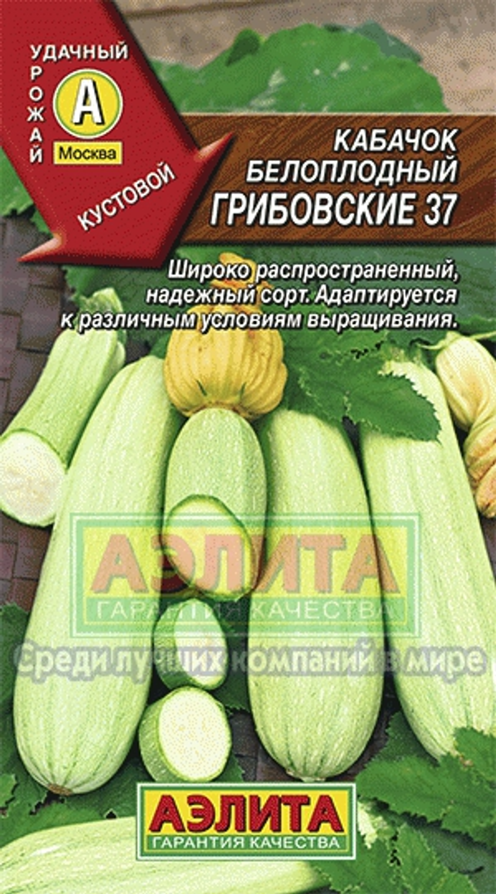 Кабачок Грибовские белоплодный 2г Ц Аэлита