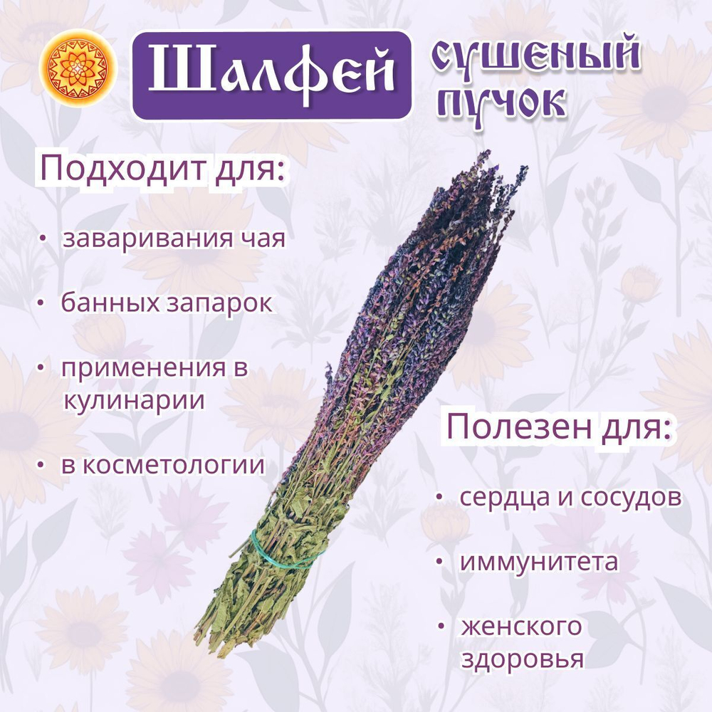 Шалфей пучок.