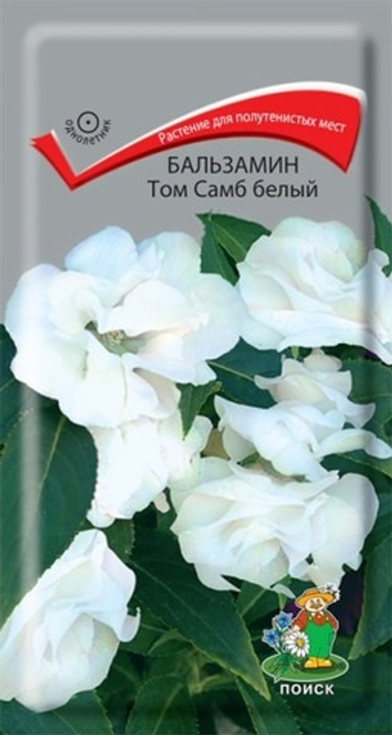 Бальзамин Том Самб белый 0,1гр Поиск