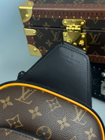 Сумка-слинг Louis Vuitton, арт. 477478994