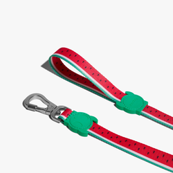 Поводок LOLA 120 см Zee.Dog