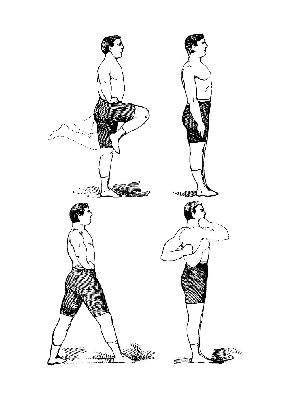 Сокольская гимнастика. 50 избранных вольных упражнений | Морозов А.