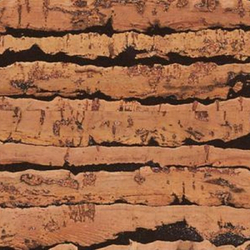 Пробковый пол Tigre