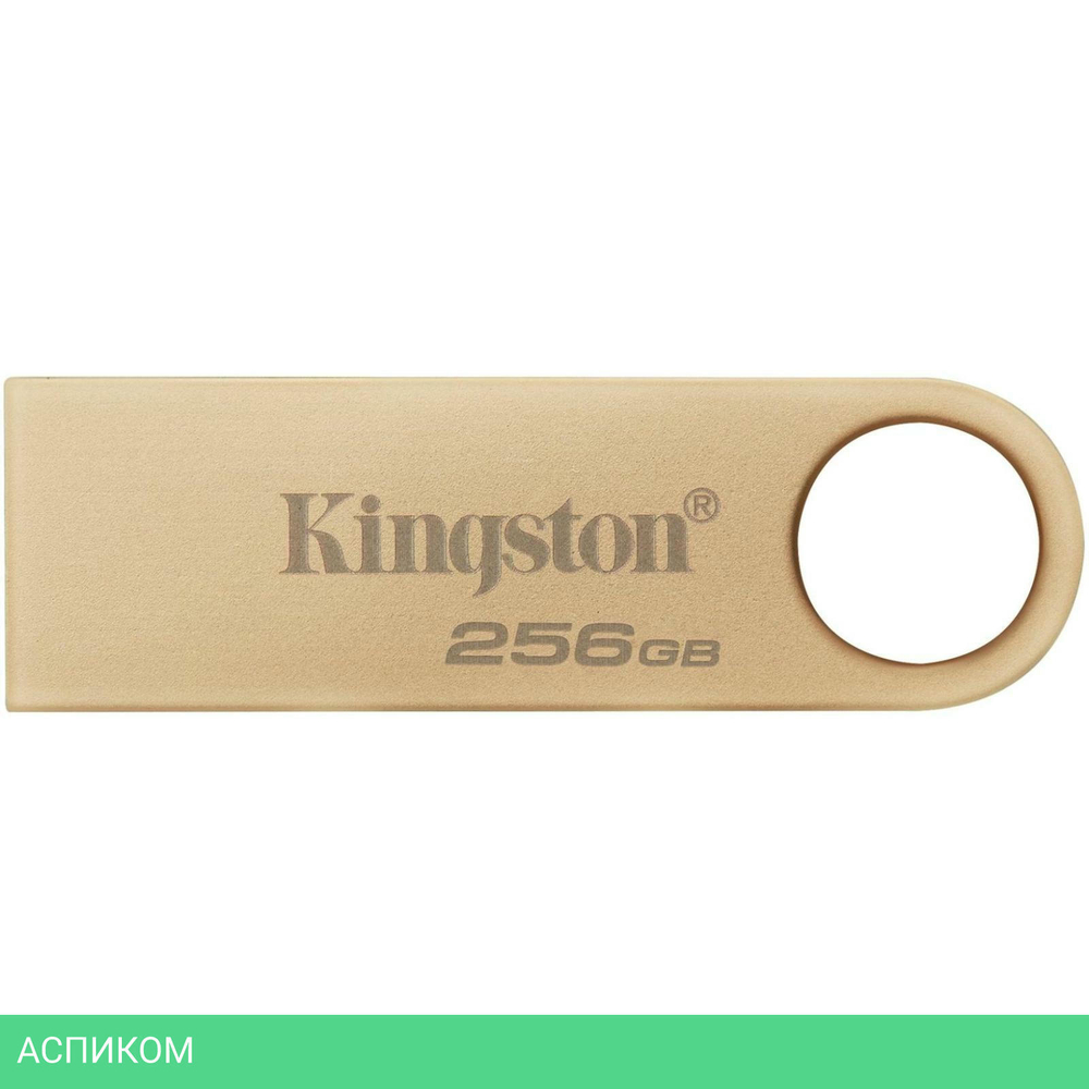 USB Flash-накопитель Kingston Data Traveler SE9 G3 256Gb (DTSE9G3/256GB)