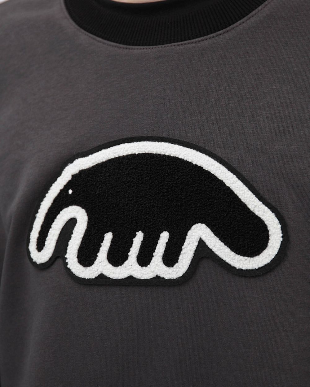Толстовка Anteater Crewneck Biglogo Grey