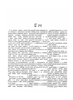 Уйгурско-русский словарь | Э.Н. Наджип; Т.Р. Рахимов