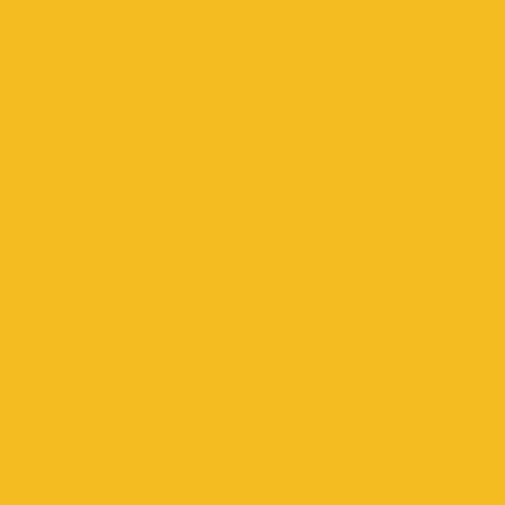 Фон бумажный Falcon Eyes BackDrop PRO 2.72x11 Yellow-Orange (35)