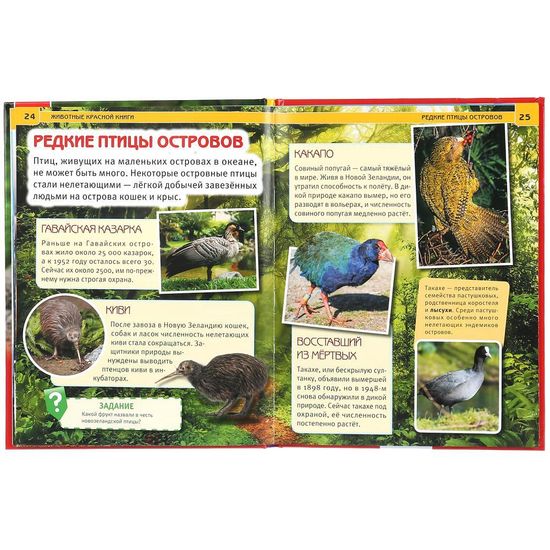 Энциклопедия А4 с развивающими заданиями. Животные красной книги. 48 стр. Умка