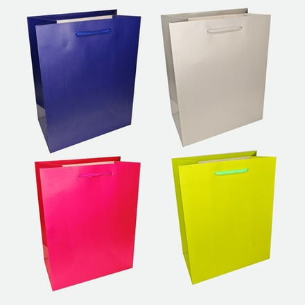Пакет подар. бумажн. 18*24*8,5 см 210 гр/м2 цветной однотон, 4 дизайна
