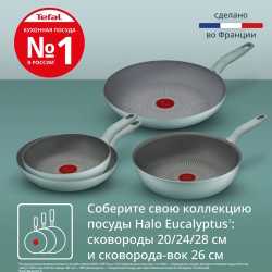 Сковорода Tefal Halo Eucalyptus 24 см G0160402