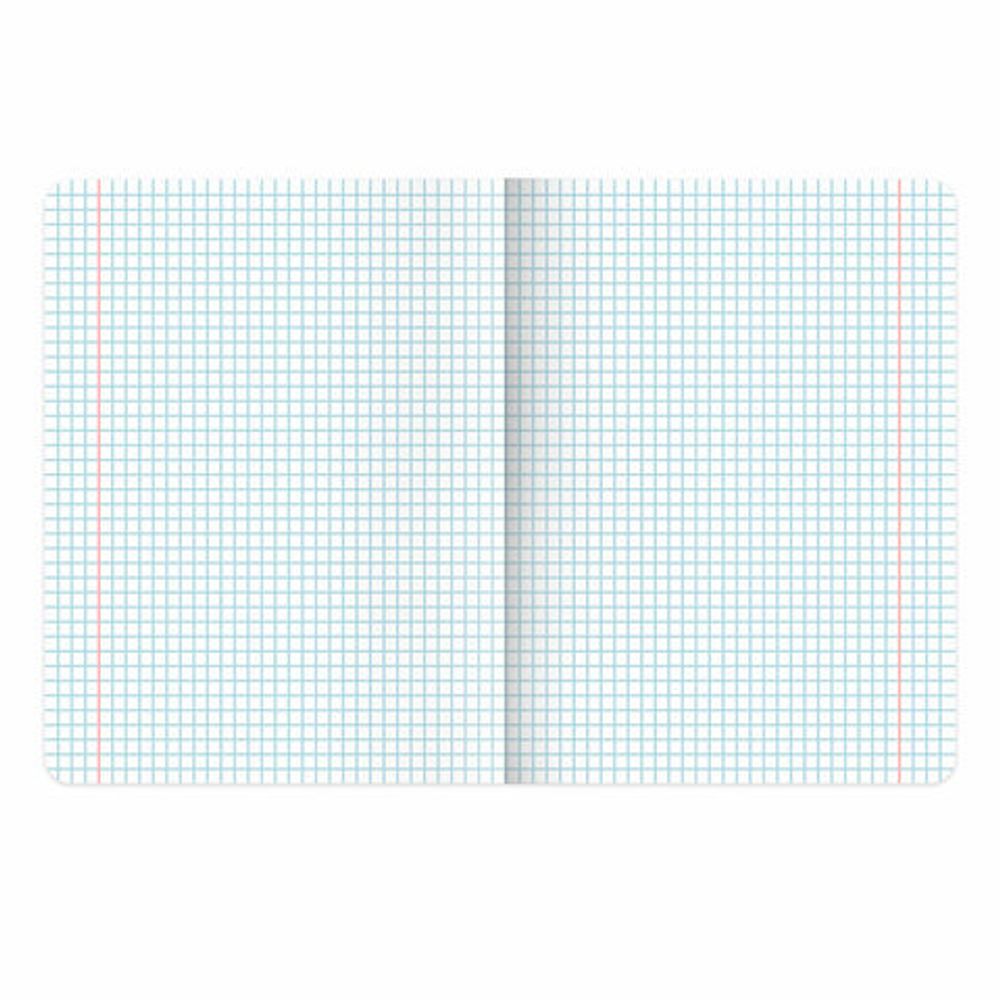 Тетради предметные, КОМПЛЕКТ 13 ПРЕДМЕТОВ, 48 л., матовая ламинация, BRAUBERG "MONOCOLOR", 405175