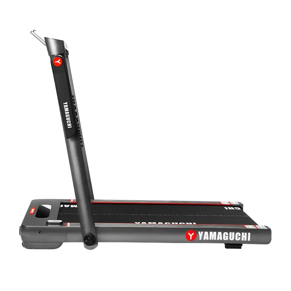 Беговая дорожка Yamaguchi Home RACE