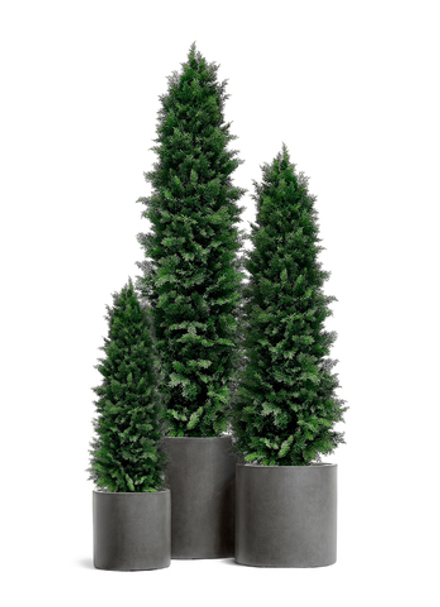 Искусственная Туя Смарагд 120-180 см в кашпо TREEZ Effectory - серия Beton