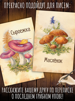 Грибы. 9 открыток
