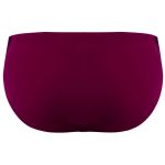 Мужские плавки бордовые с синими вставками DOREANSE 3805