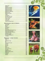 Большая книга о животных. 1001 фотография